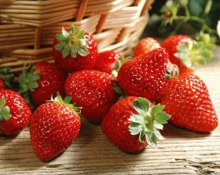 TOP 13 interesting recipes for preparing strawberries for the winter