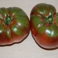 Description of varieties of tomatoes Brandywine black, yellow, pink and red