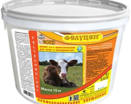 Top 5 manufacturers of feed additives for cattle and instructions for use