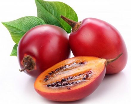 Tamarillo tomato tree, how to eat and grow it