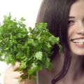 Medicinal properties and contraindications of parsley for the human body