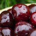 Raisons pour lesquelles les cerises ne portent pas de fruits et que faire pour le traitement