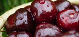 Raisons pour lesquelles les cerises ne portent pas de fruits et que faire pour le traitement