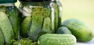 Rules for storing pickled and pickled cucumbers in an apartment