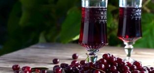 TOP 9 simple recipes for homemade cherry wine