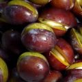 The best recipe for making pickled plums with garlic for the winter