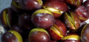 The best recipe for making pickled plums with garlic for the winter