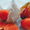 Propriétés utiles et dommages de la fraise physalis, types et méthodes d'application