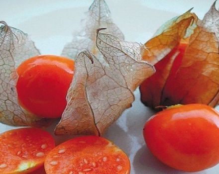 Propriétés utiles et dommages de la fraise physalis, types et méthodes d'application