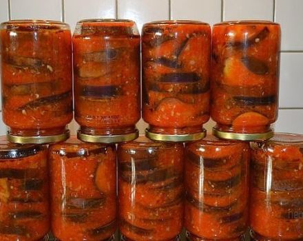 TOP 10 mejores recetas de berenjenas en tomate para el invierno, con y sin esterilización