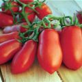 Características y descripción de la variedad de tomate Te lamerás los dedos, su rendimiento