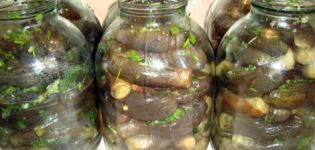 Recettes pour faire des aubergines marinées en Azerbaïdjan pour l'hiver