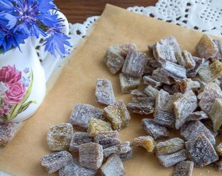 The best step-by-step recipes for making candied rhubarb