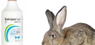 Composition and instructions for use of Baytril for rabbits, dosage