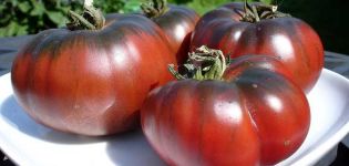 Caractéristiques et description de la variété de tomate Negritenok, son rendement