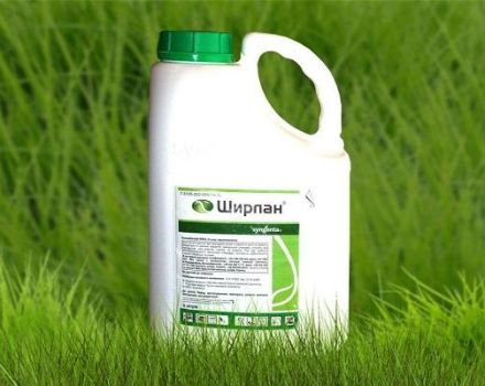 Instructions for the use of fungicide Shirlan, composition and release form of the product