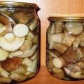 TOP 10 recetas de boletus marinados para el invierno de forma fría y caliente en casa