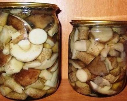 TOP 10 recetas de boletus marinados para el invierno de forma fría y caliente en casa