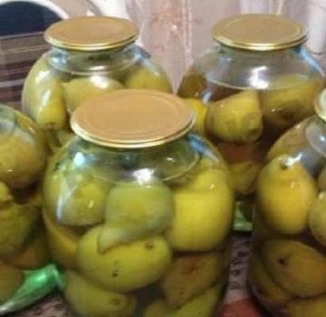 TOP 10 recipes for pear compote with and without citric acid for the winter, with and without sterilization