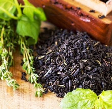 Penerangan mengenai varietas dan jenis thyme hitam (thyme)