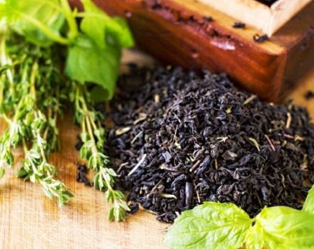 Penerangan mengenai varietas dan jenis thyme hitam (thyme)