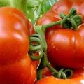 Description and characteristics of tomato Paradise delight, productivity