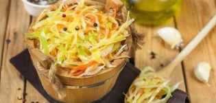 TOP 18 recetas para hacer repollo en escabeche para el invierno en casa