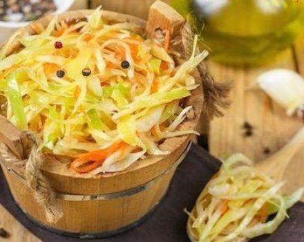 TOP 18 recetas para hacer repollo en escabeche para el invierno en casa