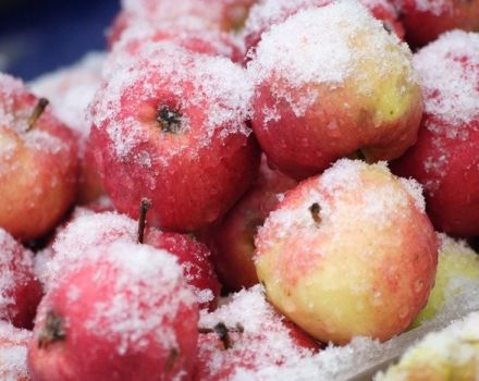 How to freeze apples at home in the freezer for the winter