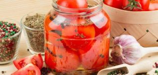 A simple recipe for cooking dessert tomatoes with onions for the winter