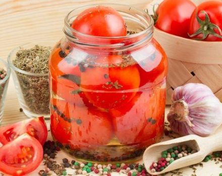 Resipi mudah untuk memasak tomato pencuci mulut dengan bawang untuk musim sejuk