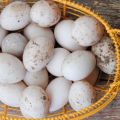 The size of duck eggs and the benefits and harms to the body, can it be eaten and in what form