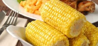 What family and species does corn belong to: vegetable, fruit or cereal