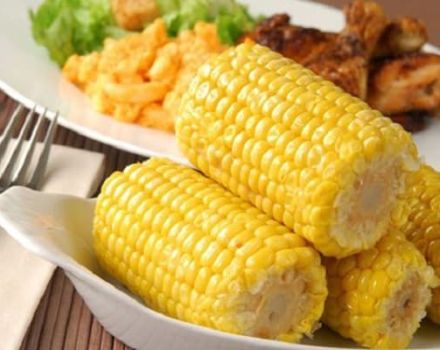 Jenis keluarga dan spesies jagung: sayur, buah atau bijirin