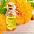 Medicinal properties and contraindications of marigolds, health benefits and harms