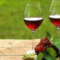 9 easy step-by-step recipes on how to make red currant wine at home