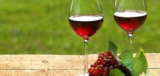 9 easy step-by-step recipes on how to make red currant wine at home