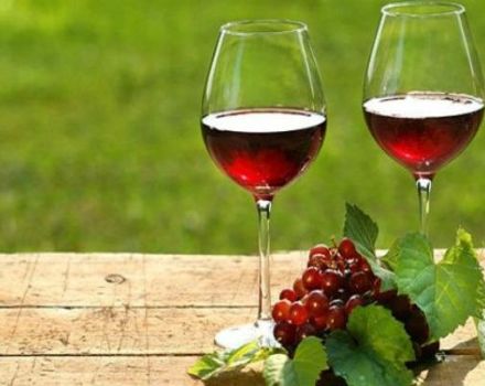 9 recettes faciles étape par étape sur la façon de faire du vin de groseille à la maison