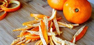 2 recettes rapides d'écorces de mandarine confites à la maison