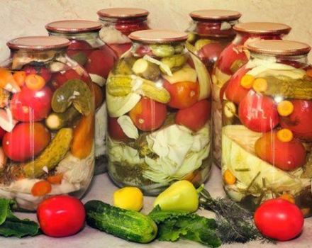 TOP 6 delicious recipes for salting assorted vegetables for the winter