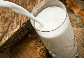 Pourquoi le lait sent la vache, que faire et comment éliminer la puanteur