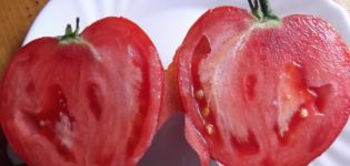 Ciri-ciri dan perihalan varieti tomato Hati pengasih dan jantung minyak Merah, produktiviti mereka