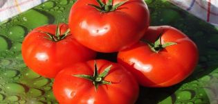 Productivity, characteristics and description of the Alaska tomato variety