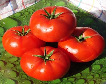 Productividad, características y descripción de la variedad de tomate Alaska