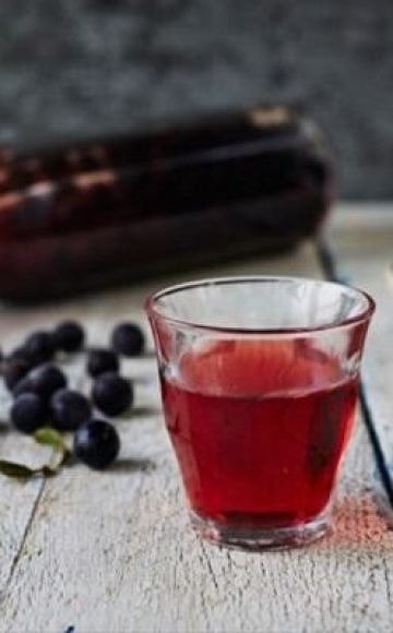 Pangunahing 8 simpleng mga recipe para sa paggawa ng sloe alak sa bahay