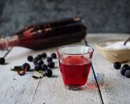 TOP 8 simple recipes for making sloe wine at home