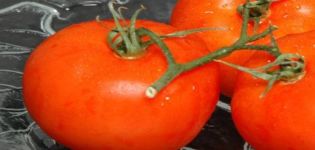 Description of the honey tomato variety, and its yield