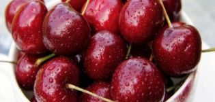 Characteristics and description of Vasilisa cherry varieties, planting and care