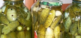 TOP 3 recipes for pickled cucumbers with coriander for the winter