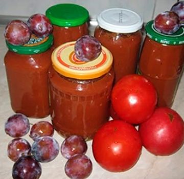 Recetas de ketchup de ciruelas para el invierno en casa, te lamerás los dedos.